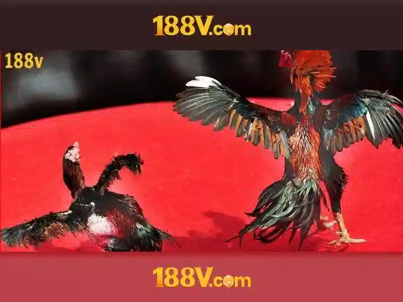 188V: Nguồn sáng tạo và công nghệ
