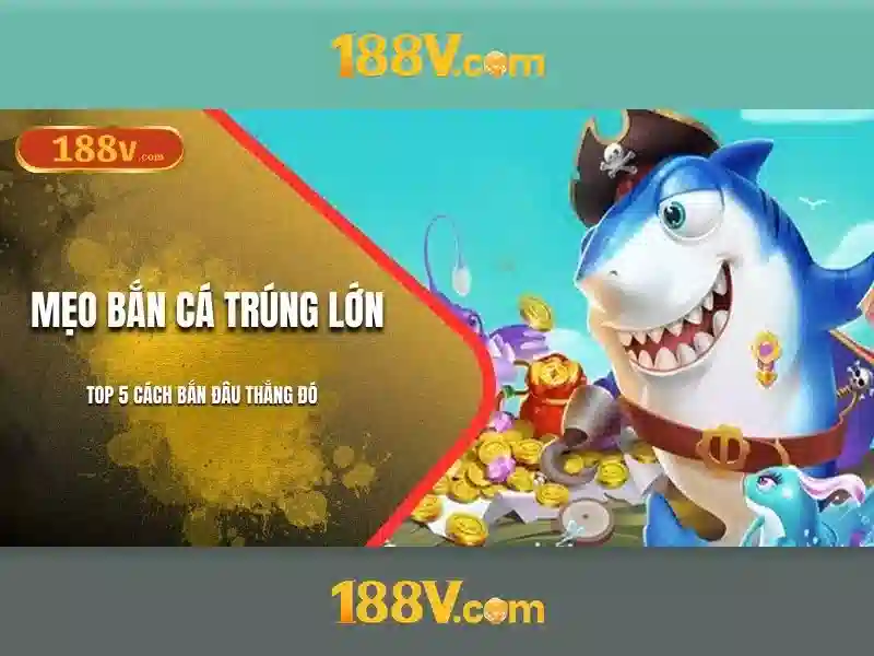 Trải nghiệm người dùng và phản hồi cộng đồng