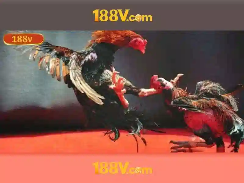 Nguồn gốc và sứ mệnh của tai 188v