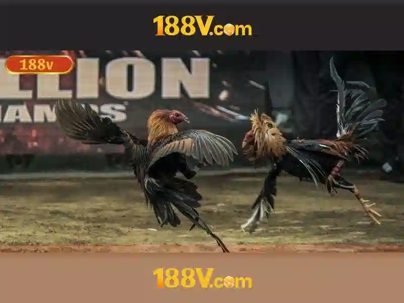 188v tại app – Tổng quan chủ đề và giá trị cốt lõi