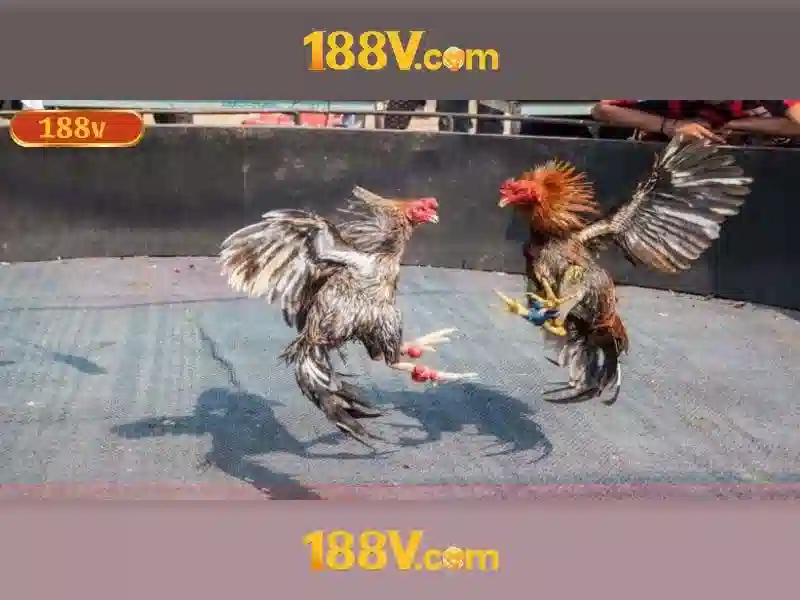 Khởi đầu của 188v