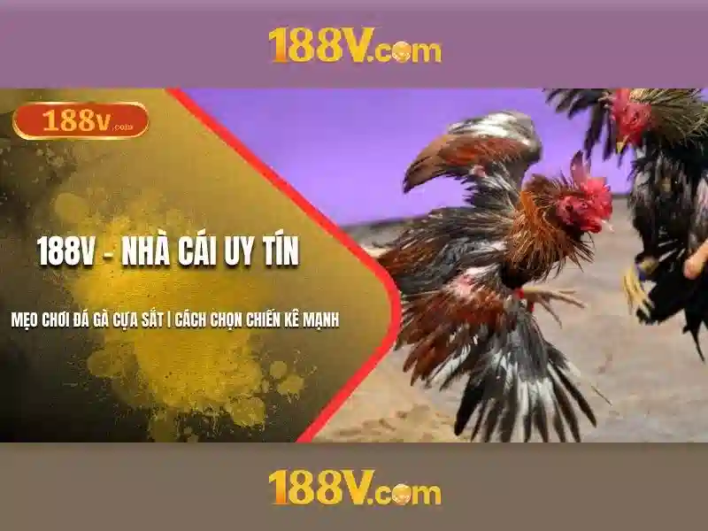 188v: một khía cạnh của thế giới số