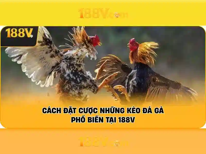 Khả năng và ứng dụng của 188v