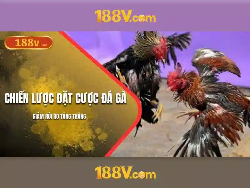 Khám phá nguồn gốc của 188v