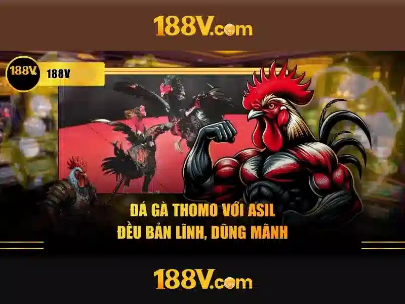 Nguồn cảm hứng và mục tiêu\n\n