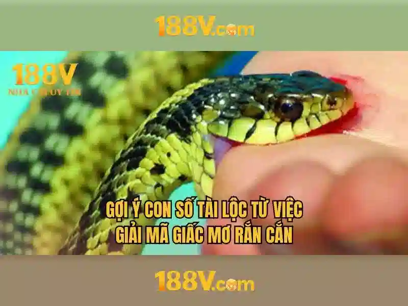 Nguồn gốc 188V\n