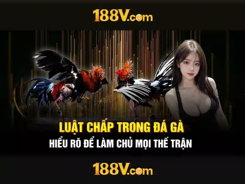 188v: Khám phá một khái niệm sáng tạo