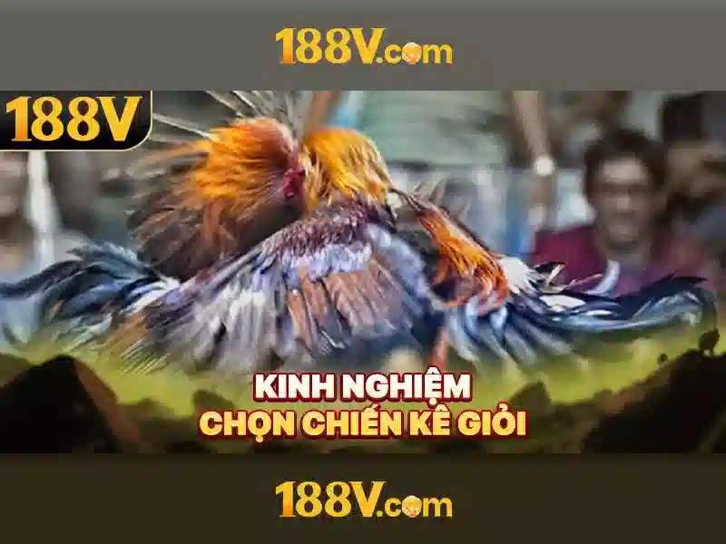 188V: Định nghĩa, ứng dụng và an toàn điện