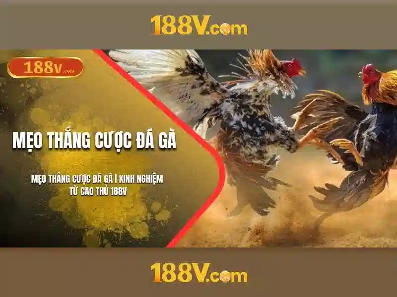 Ứng dụng và hệ quả