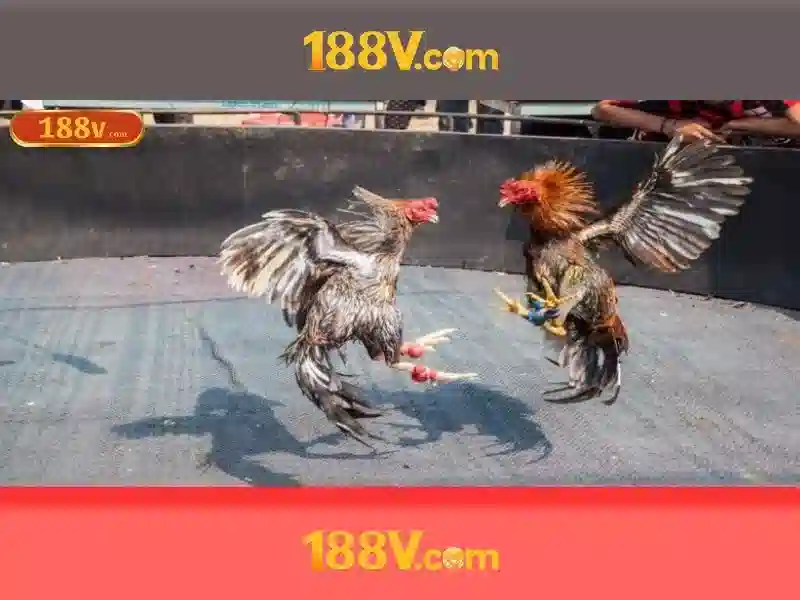 Nguồn gốc và ứng dụng