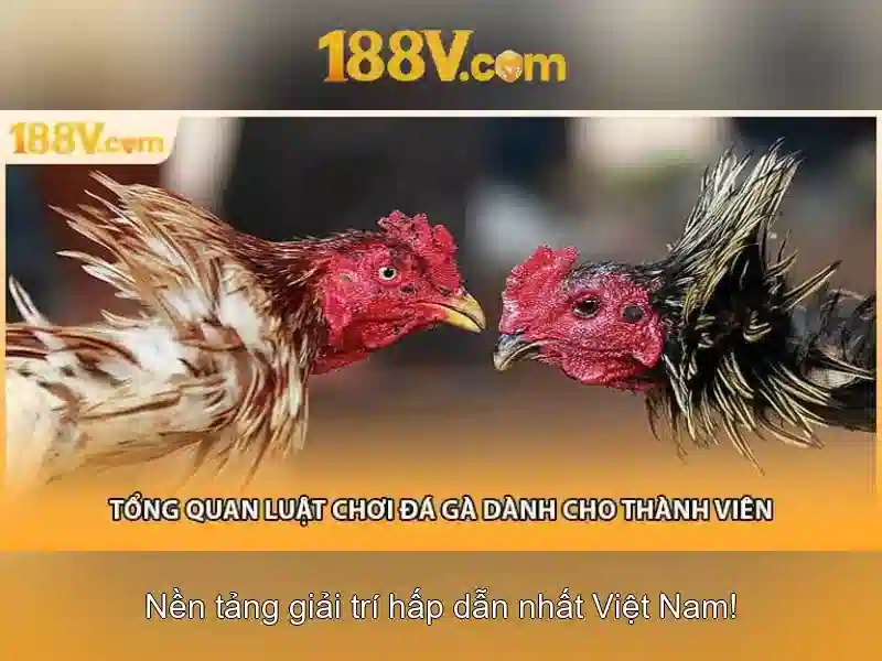 Nguồn gốc và ý niệm