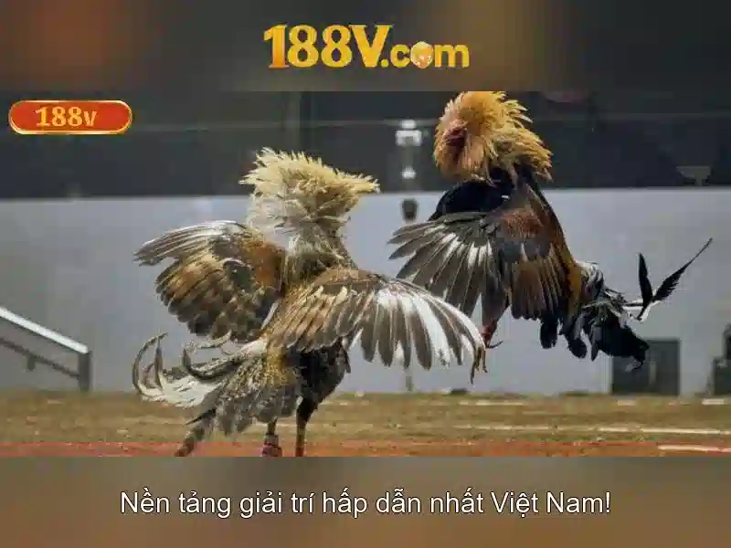 188V và những điều cơ bản