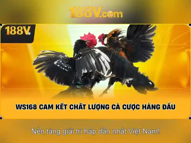 Khám phá 188v: một ẩn số trong toán học và nghệ thuật