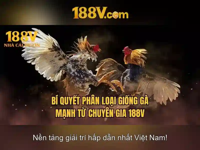 Khái niệm 188V