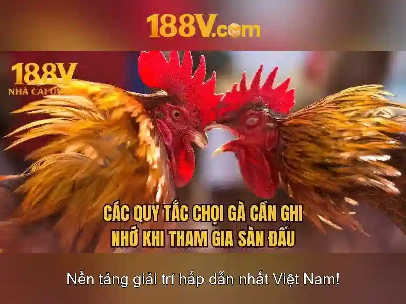 Ứng dụng trong thực tiễn\n