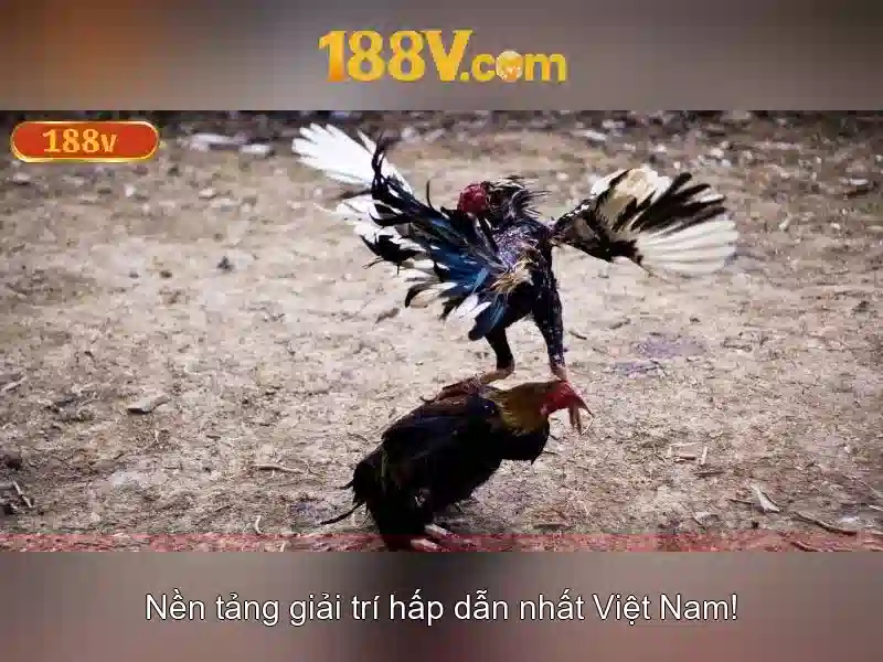 Ví dụ mô phỏng và bảng so sánh