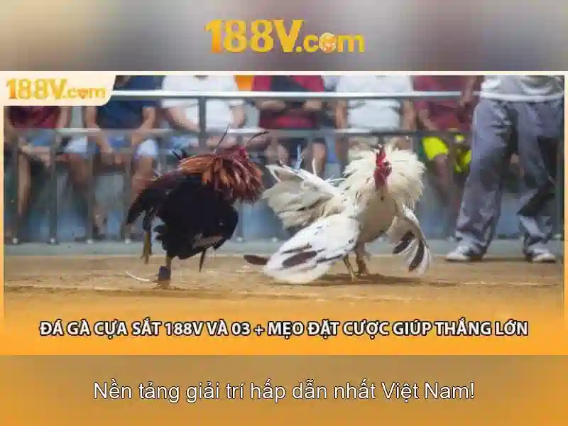 Ứng dụng thực tế của 188V