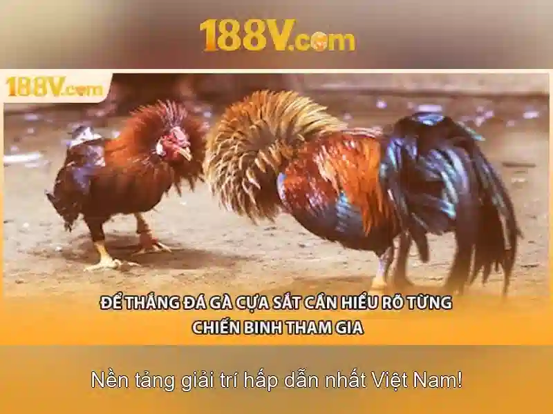 So sánh với các mức điện áp phổ biến