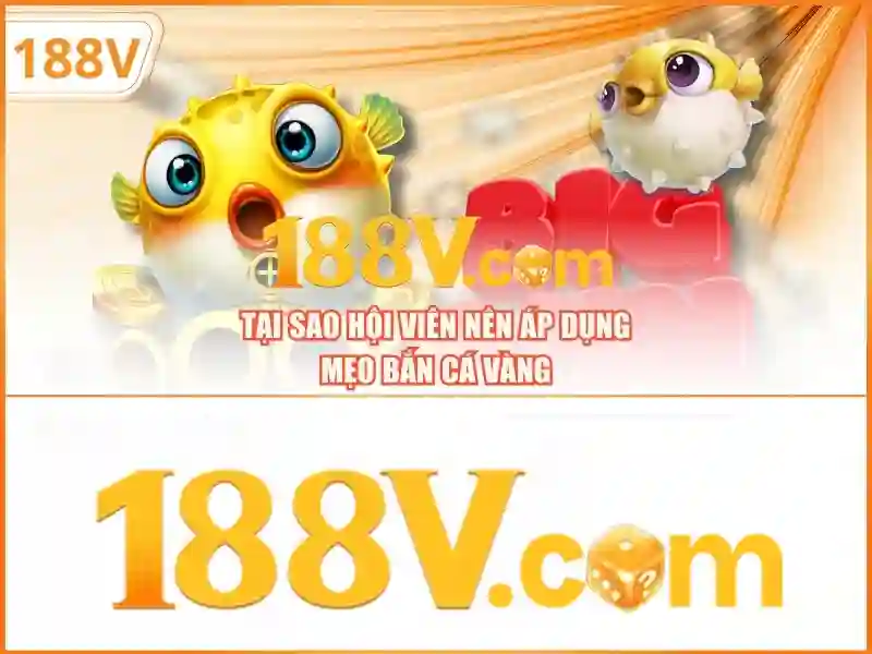 Những đặc điểm nổi bật