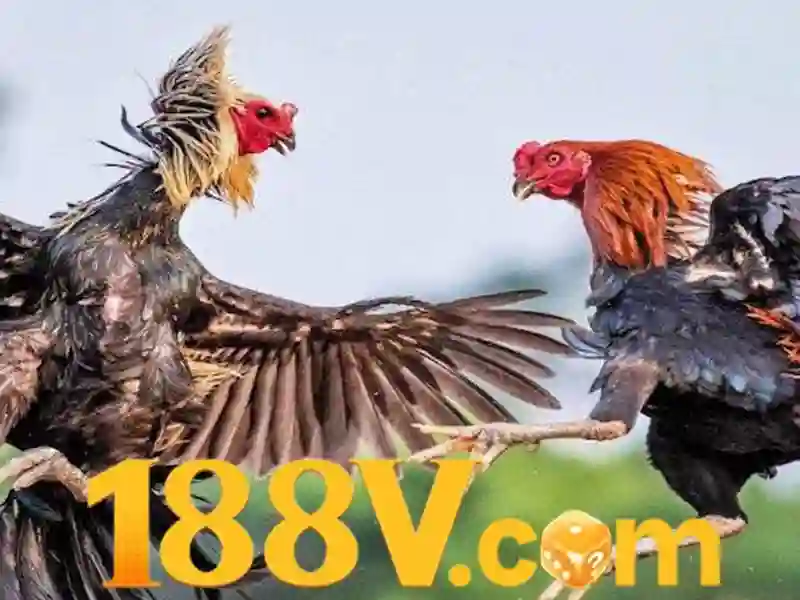 security-and-responsible-gaming