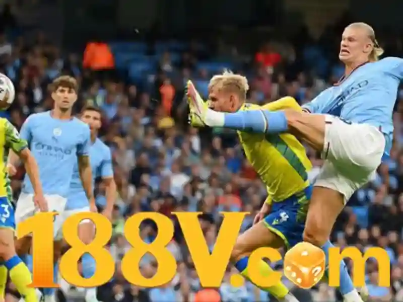 Trải nghiệm người dùng và phản hồi cộng đồng